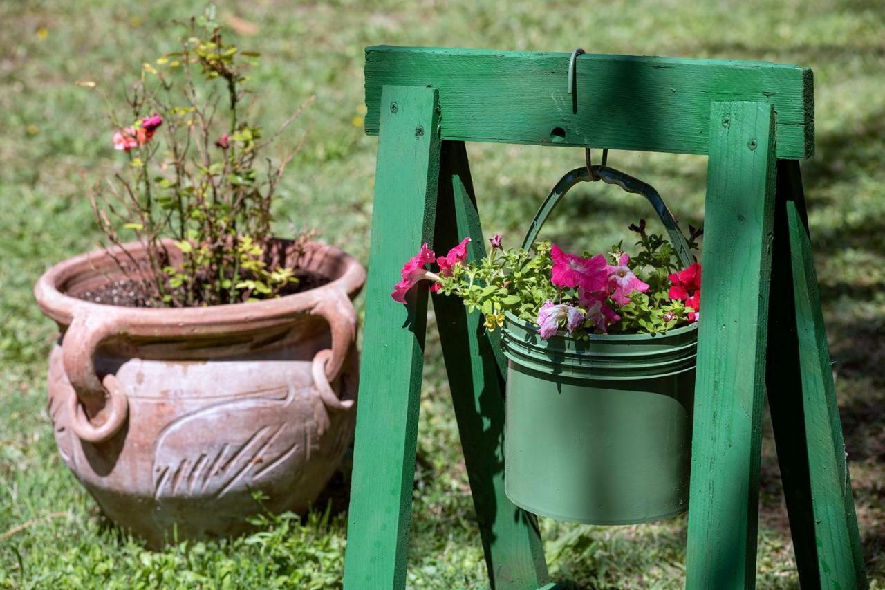 Valtopina Cottoni Natural Space מראה חיצוני תמונה